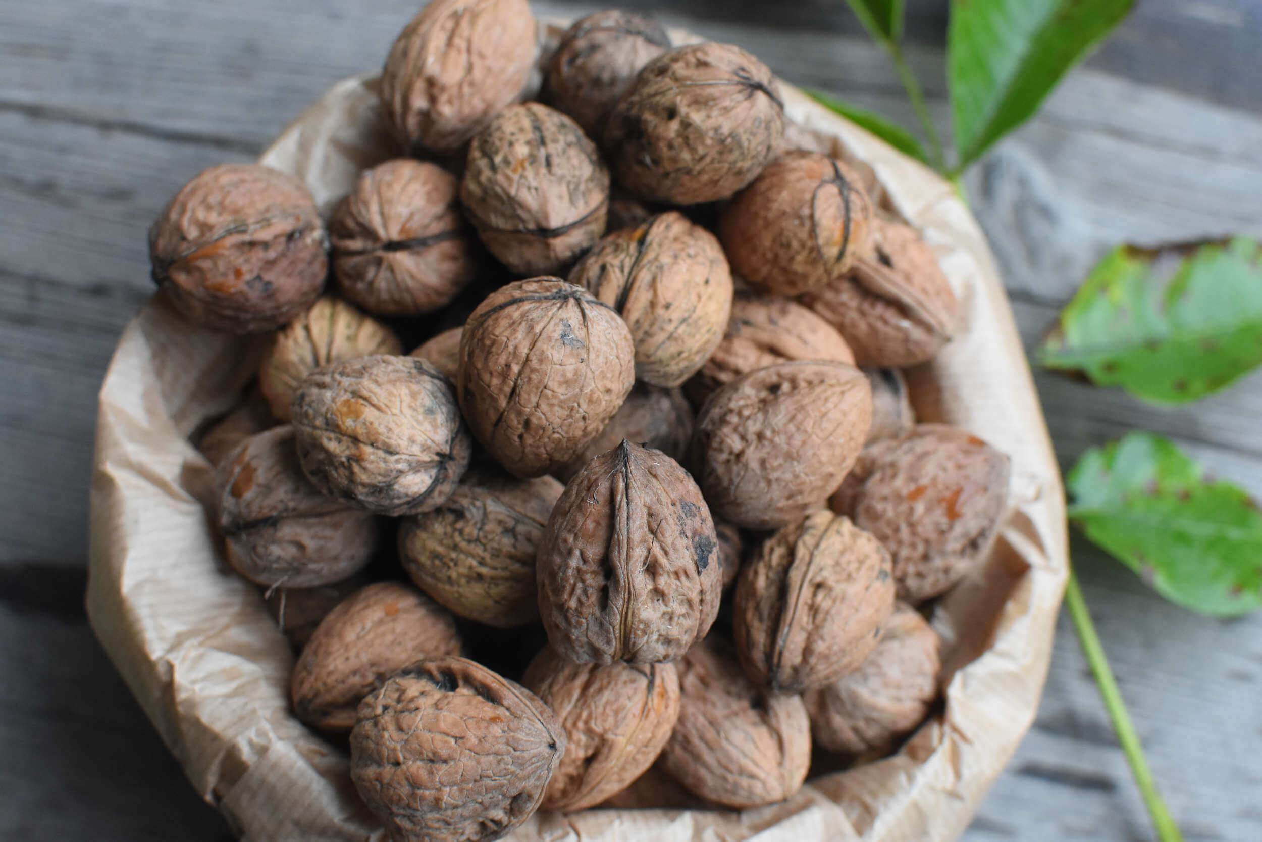 Walnüsse