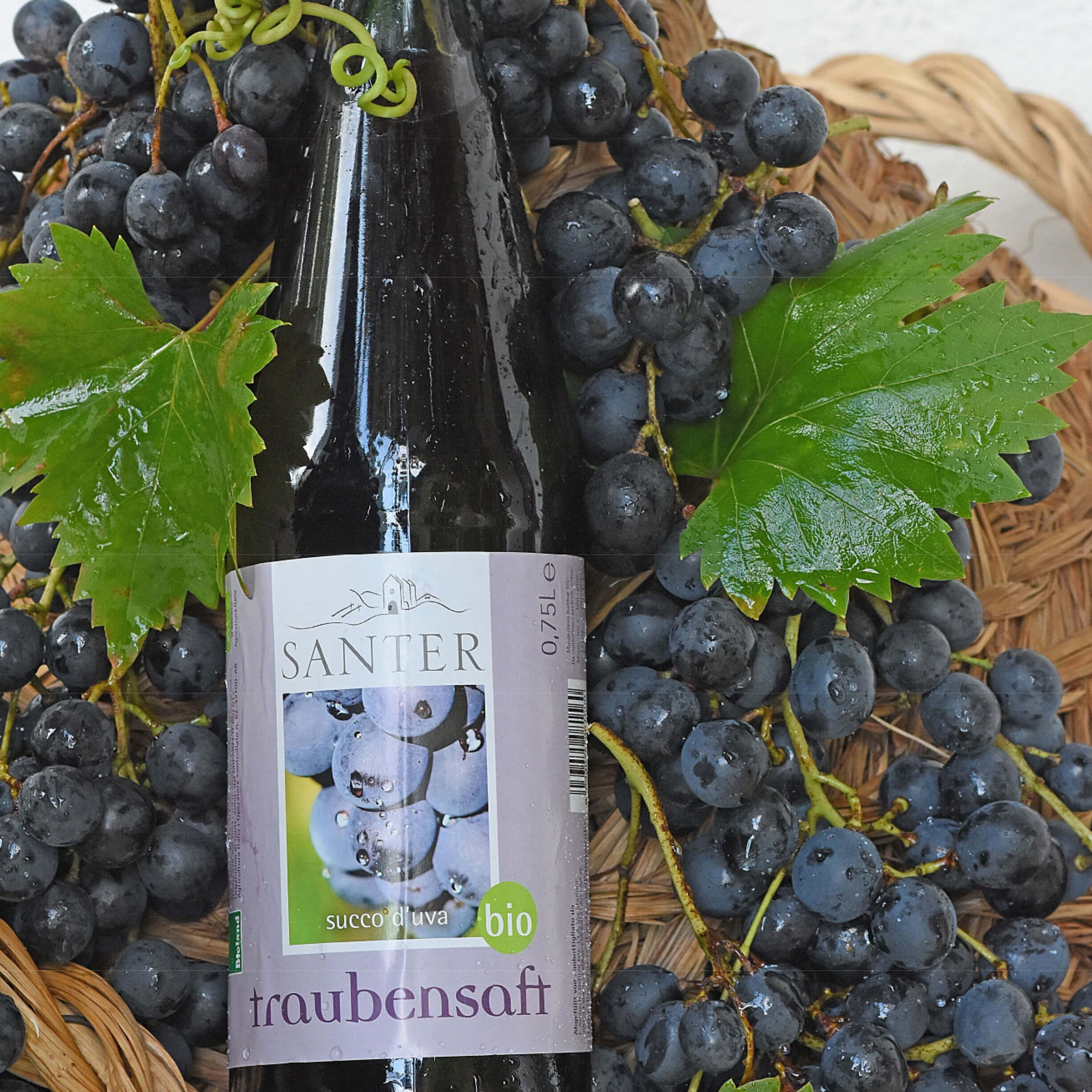 Traubensaft Santerhof